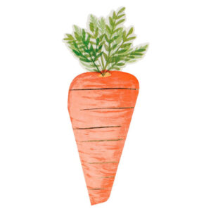 Meri Meri Carrot Napkins