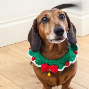 Talking Tables Pet Crochet Festive Dress Up Collar